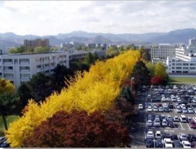 Sapporo Clark Hotel Exterior foto